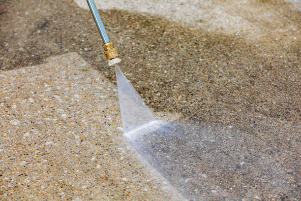 Professional Pressure Washing in Fort Denaud, FL